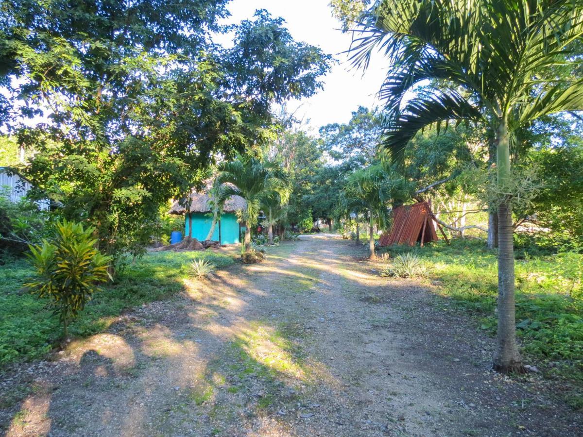 Cabanas Calakmul Villa Conhuas Exterior photo